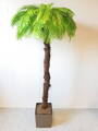 Umělá palma- světlá s kůrou 180 cm