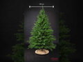 Smrek premium 100% 3D- 200cm