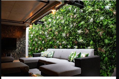 Umelé vs. živé rastliny: Ktoré sú lepšie?